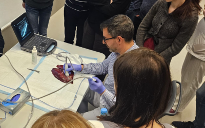 Workshop mikrovlnné ablace štítné žlázy v Brně:když se zkušenosti sdílí, medicína jde dopředu